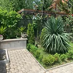 Oasis By The Sea