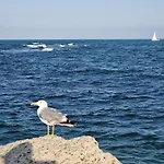 Studio Robinson Beach Sea Nessebar View