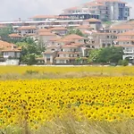 Tinas Ruhepol Mit Terrasse Und Meerblick