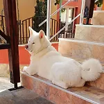 Виктория Созопол