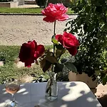 Garden Of Eden Privat Apartament Diana