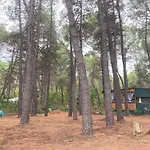 Каравана Макси