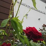 Vp Ravda Park