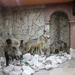 Туристически Комплекс Божура
