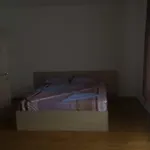 Лилия 6