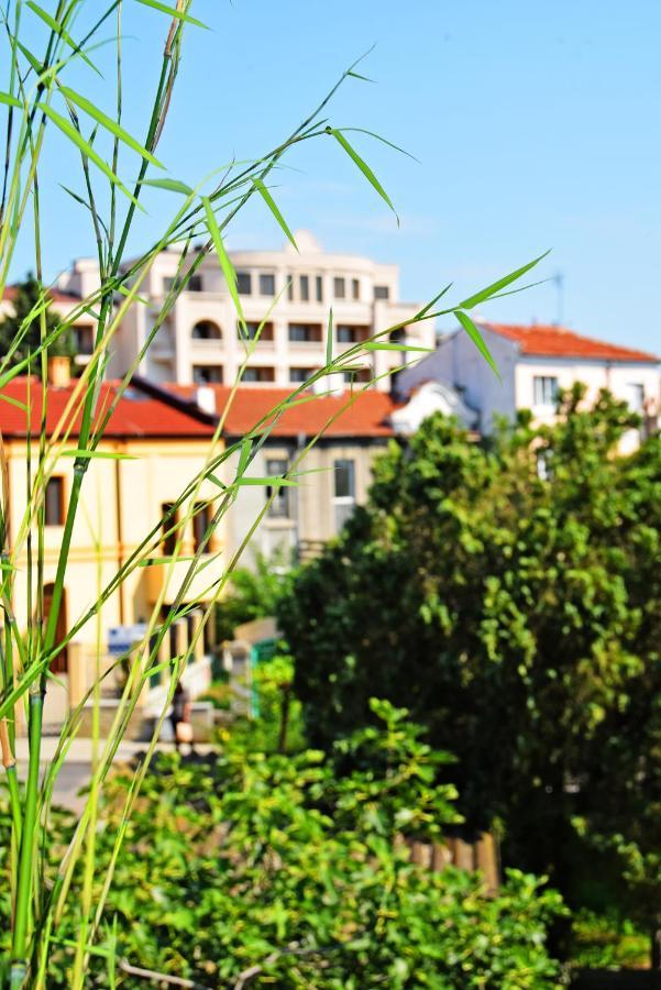 Apartment 4 City's Sights And