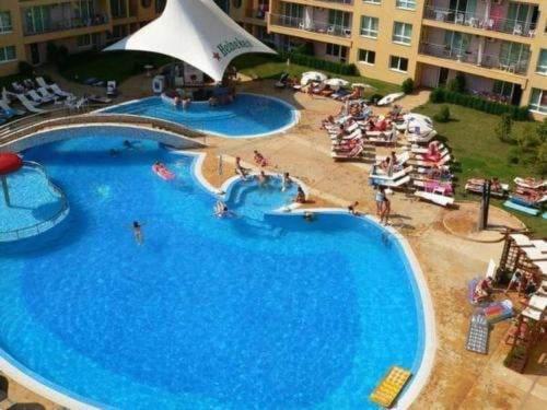 Sunset Dream Polo Sunny Beach