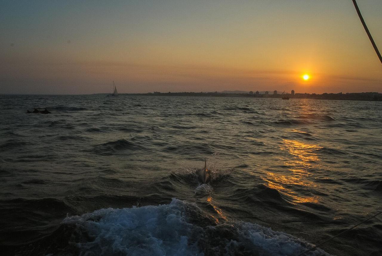 Paradiso 'в' 402 Private * Nesebar