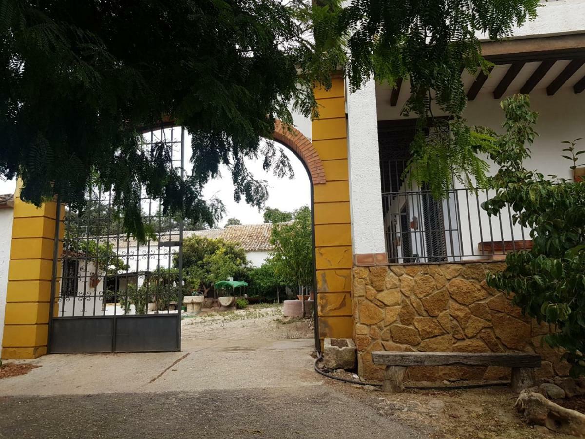 Alambique Setenil *