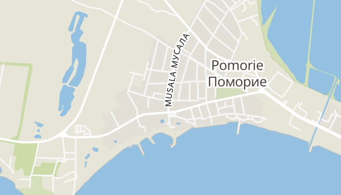 Térkép