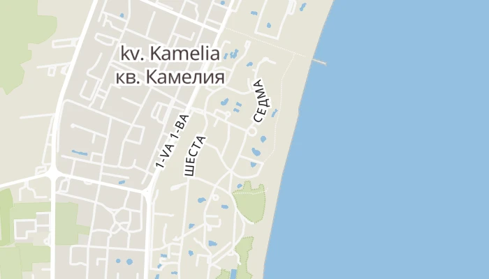 Térkép
